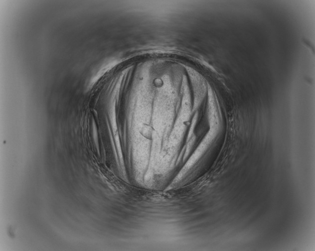 X0000101961255200808081520