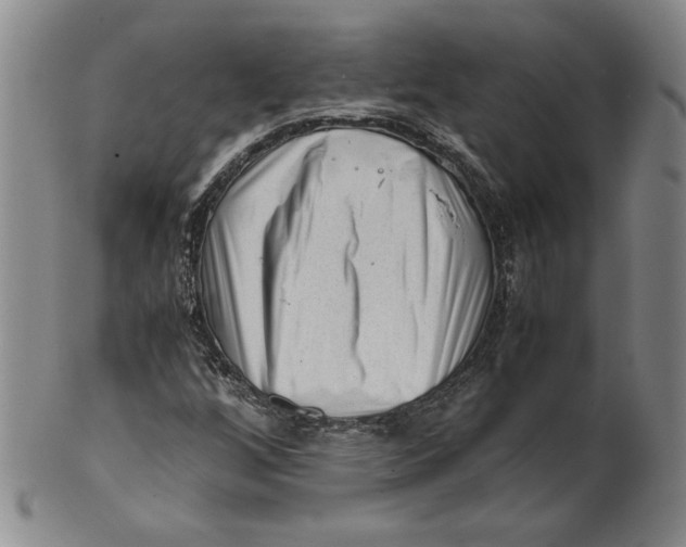 X0000101961256200808081520