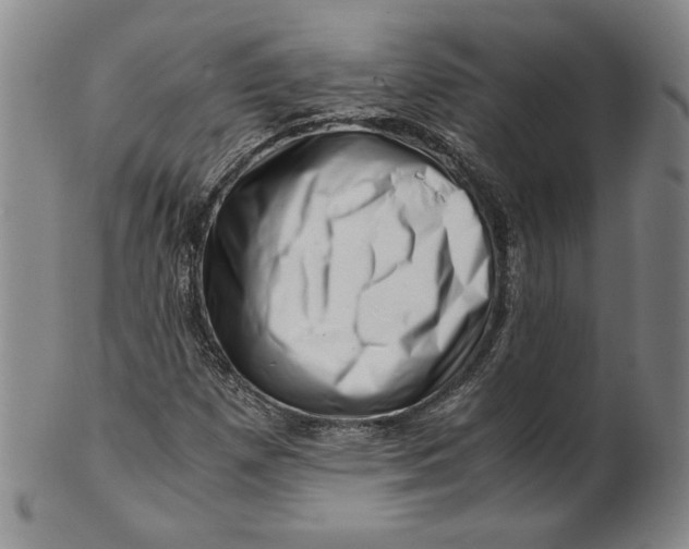 X0000101961257200808081520