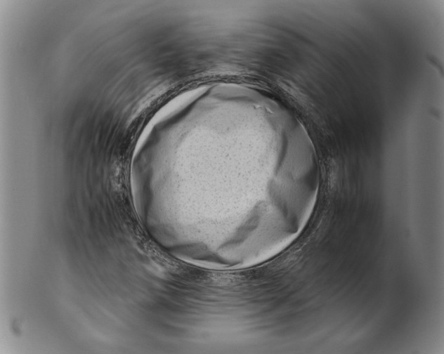 X0000101961258200808081520