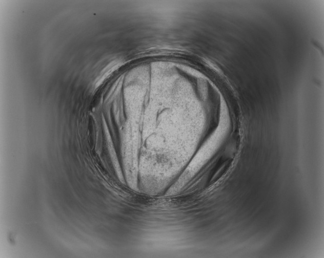 X0000101961259200808081520