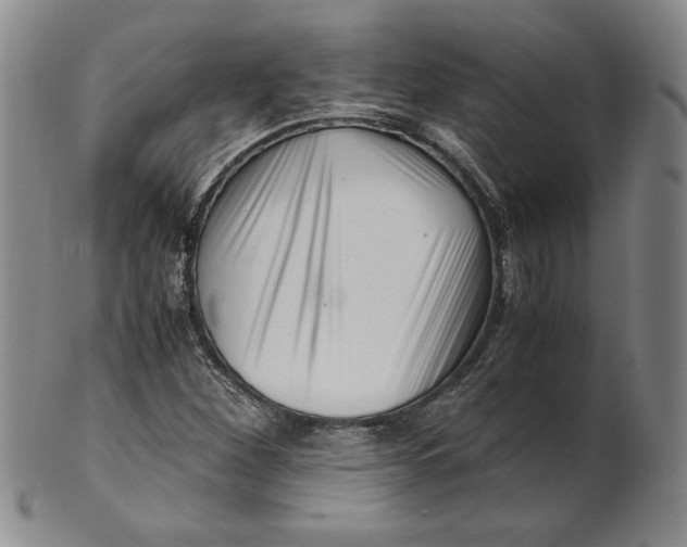 X0000101961260200808081520