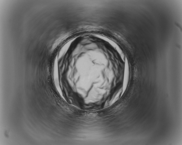 X0000101961261200808081520