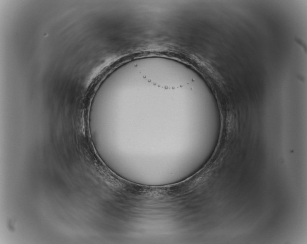 X0000101961262200808081520