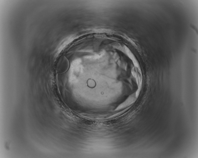 X0000101961263200808081520