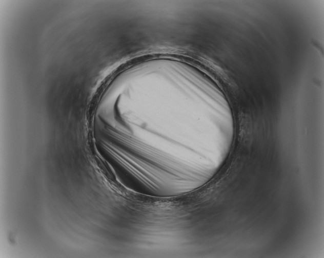 X0000101961264200808081520