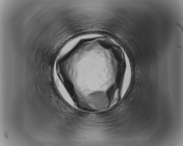 X0000101961265200808081520