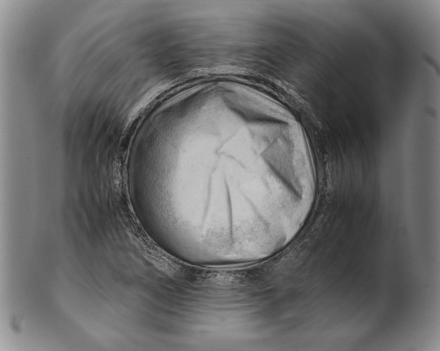 X0000101961266200808081520