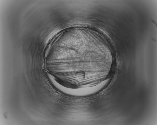 X0000101961267200808081520