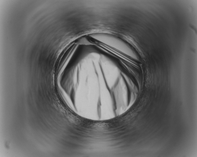 X0000101961268200808081520