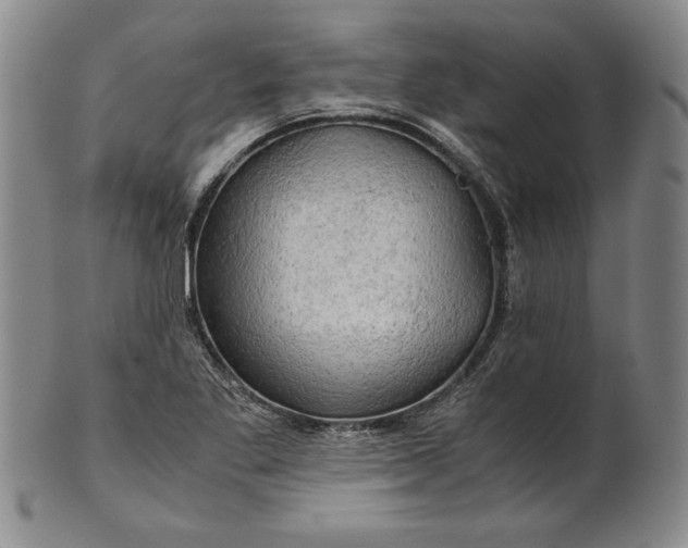 X0000101961269200808081520