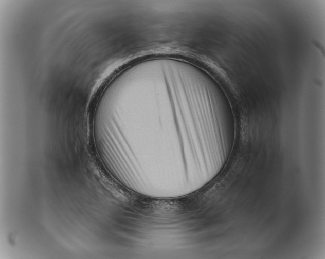 X0000101961270200808081520