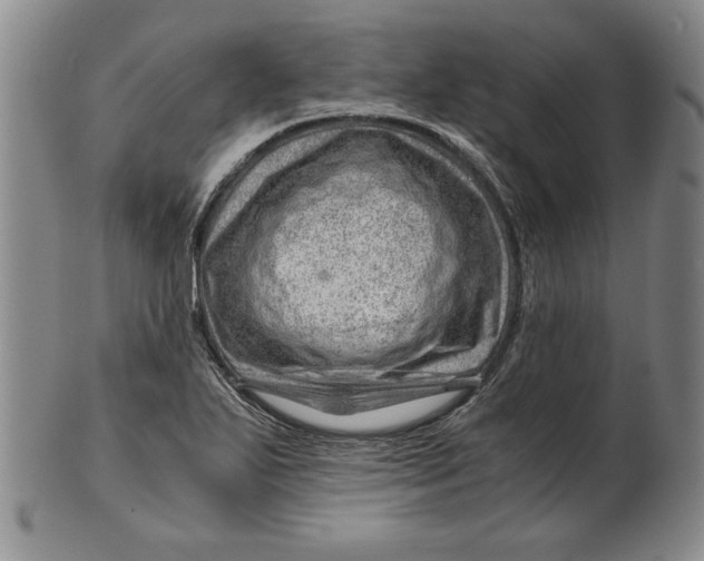 X0000101961271200808081520