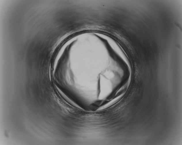 X0000101961272200808081520