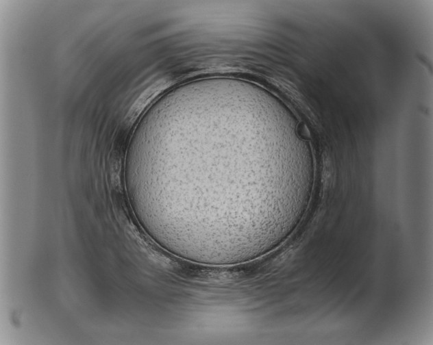 X0000101961273200808081520