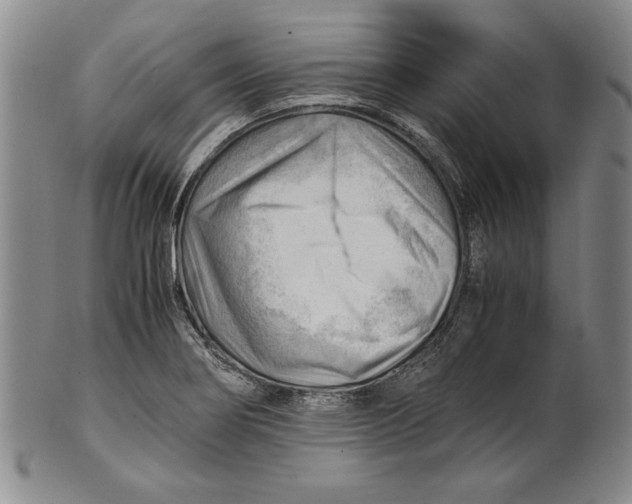 X0000101961274200808081520