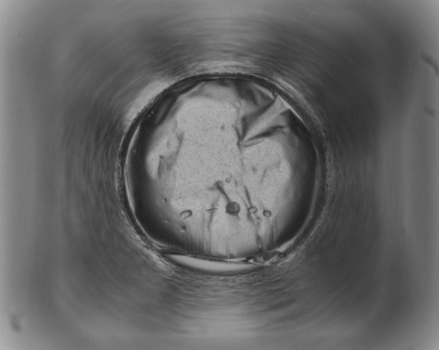 X0000101961277200808081520