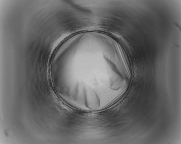 X0000101961278200808081520