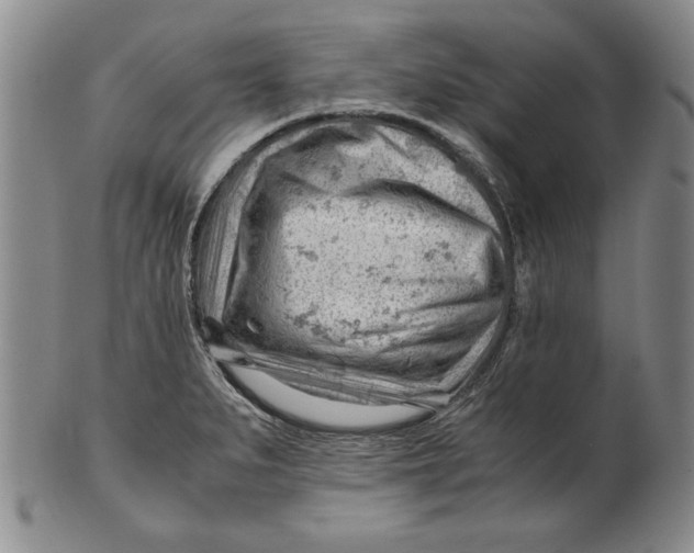 X0000101961279200808081520