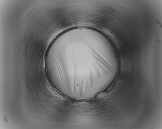 X0000101961280200808081520