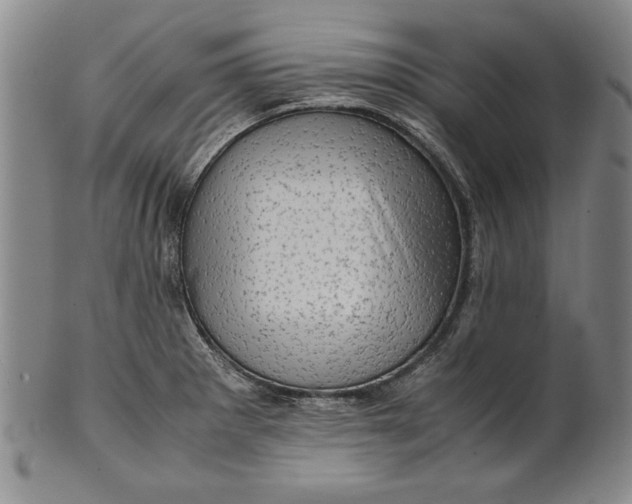 X0000101961281200808081520