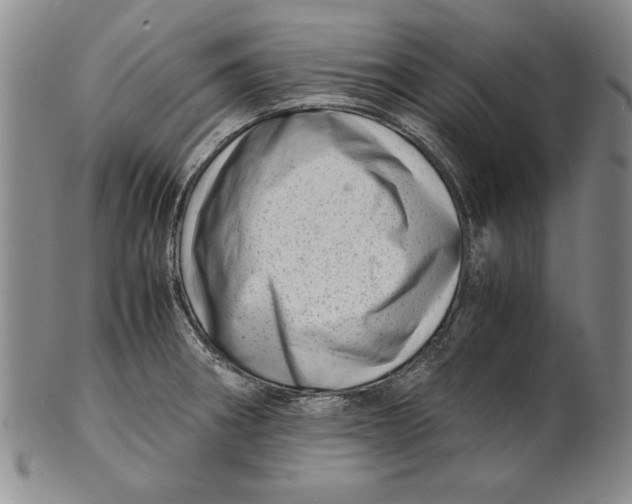 X0000101961282200808081519