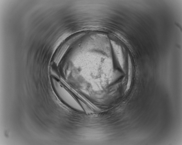 X0000101961283200808081519