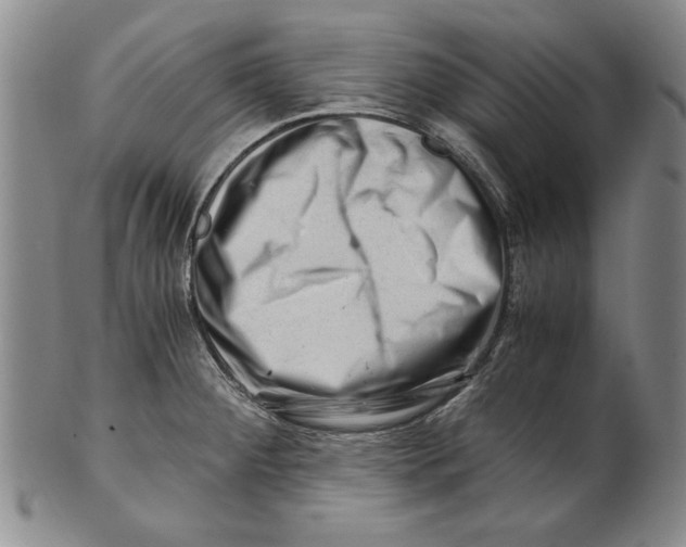 X0000101961284200808081519