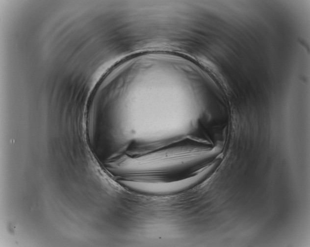 X0000101961288200808081519