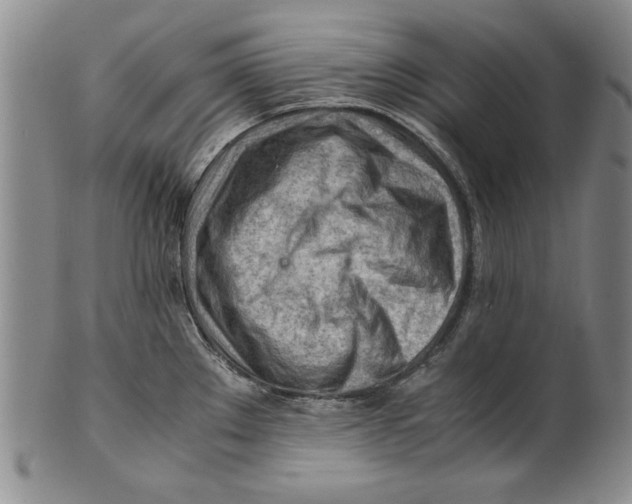 X0000101961289200808081519