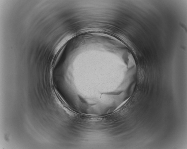 X0000101961290200808081519