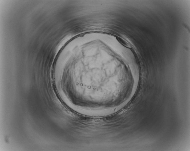 X0000101961291200808081519