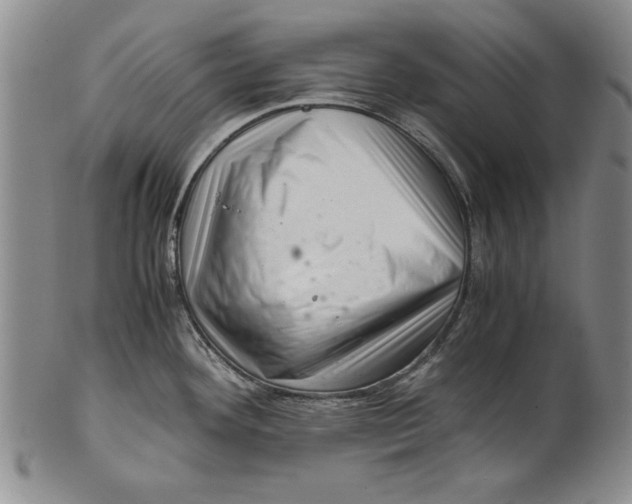 X0000101961292200808081519