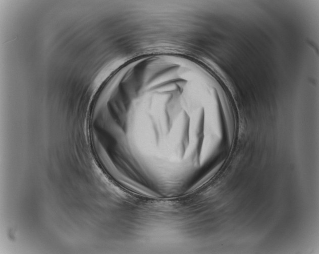 X0000101961293200808081519