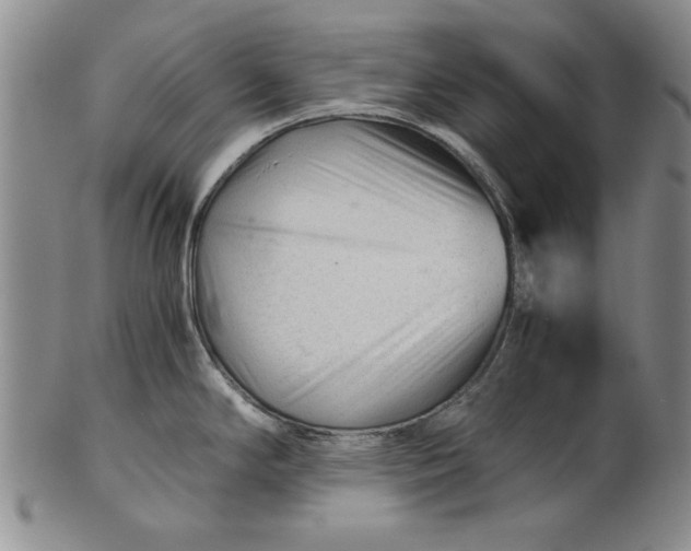 X0000101961294200808081519