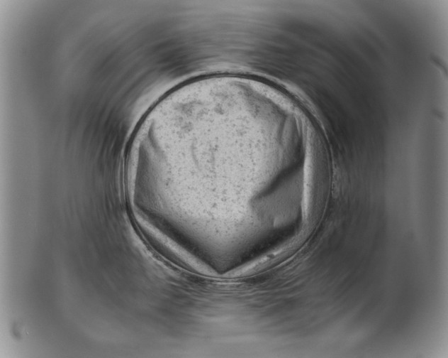 X0000101961295200808081519