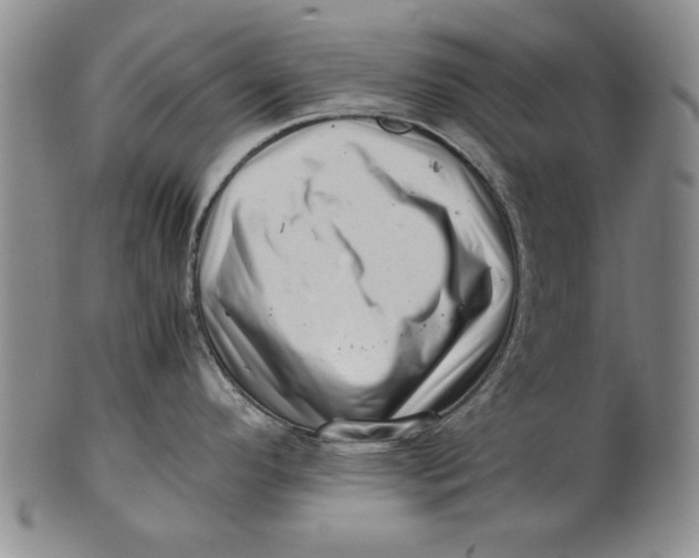 X0000101961296200808081519