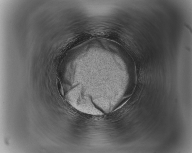 X0000101961297200808081519