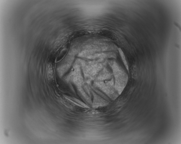 X0000101961298200808081519