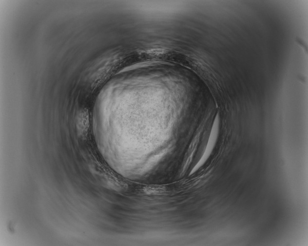 X0000101961299200808081519