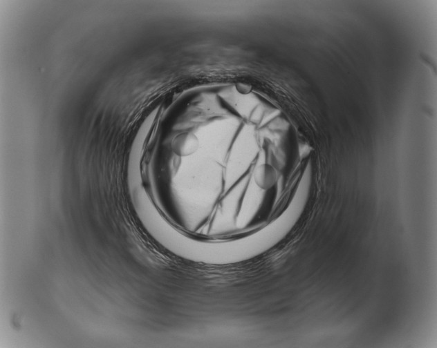 X0000101961300200808081519