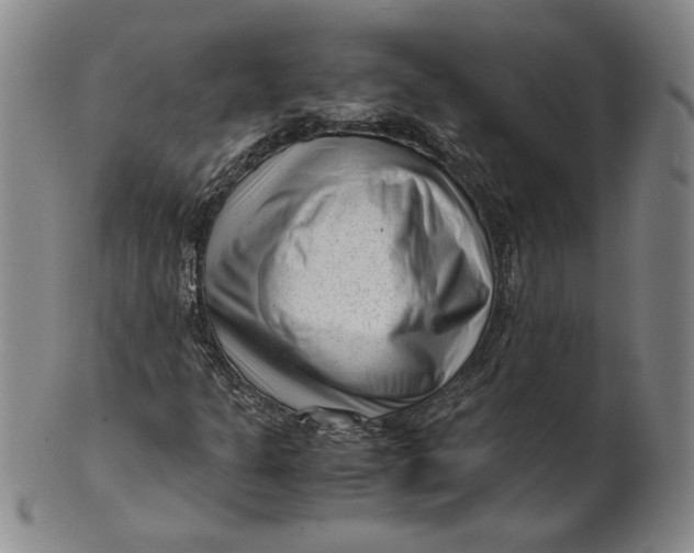 X0000101961301200808081519