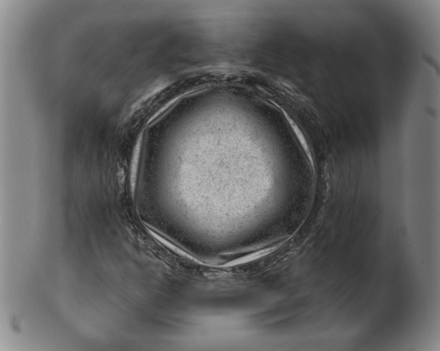 X0000101961302200808081519