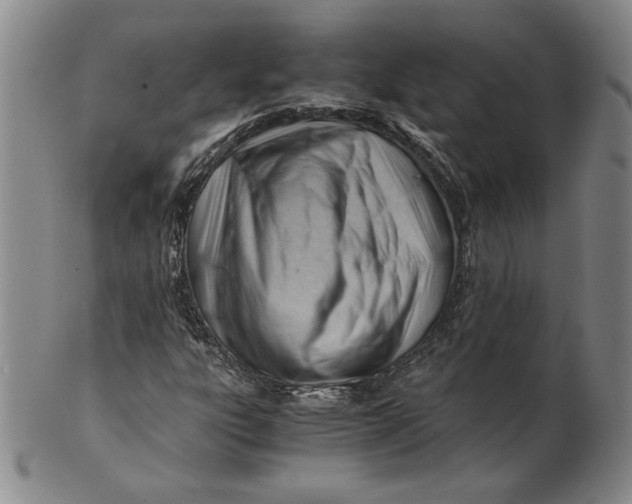 X0000101961303200808081519