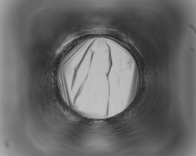 X0000101961304200808081519