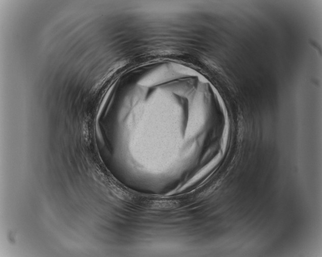 X0000101961305200808081519