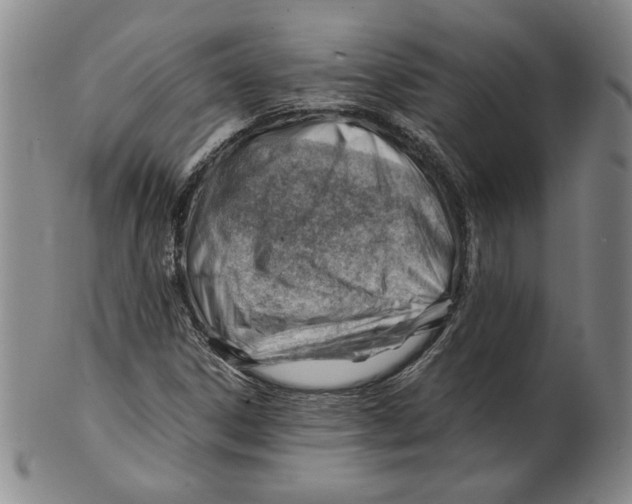 X0000101961306200808081519