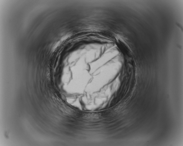 X0000101961307200808081519