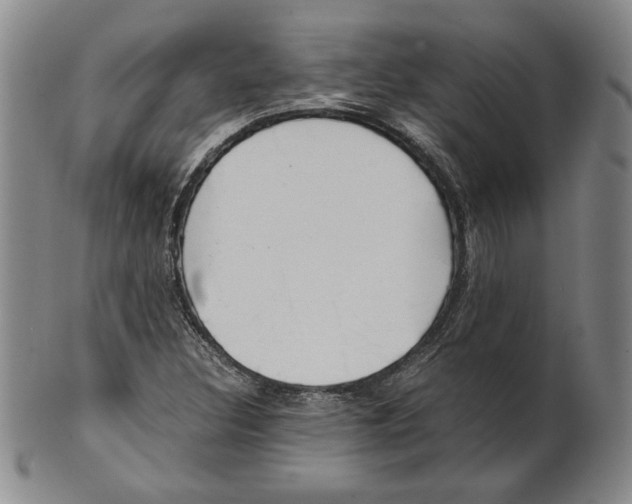 X0000101961308200808081519