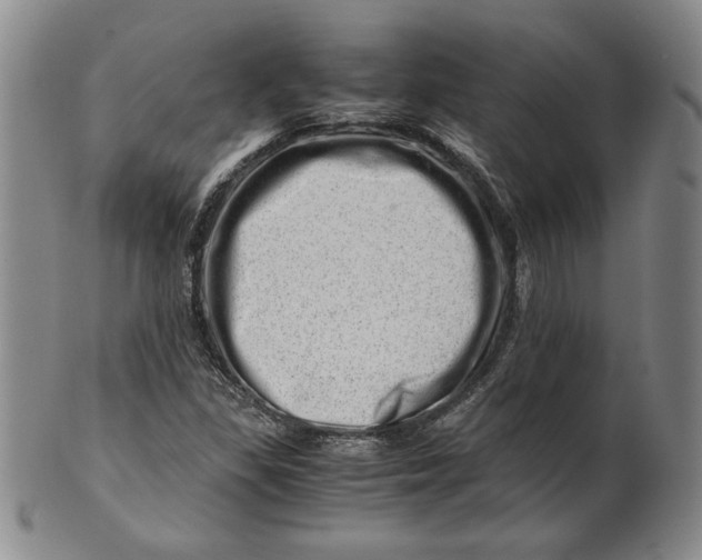 X0000101961309200808081519